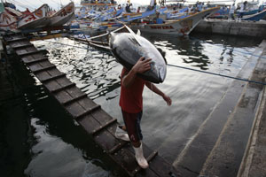 A warrant has been issued for suspects in General Santos City, whose port is seen here. (Darren Whiteside/Reuters)