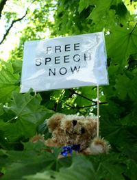 A teddy bear carrying messages of press freedom lands in a tree. (Studio Total)
