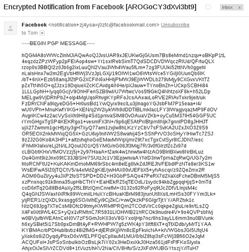 This screenshot show an encrypted notification message from Facebook. The message can only be decrypted with the correct private key. (CPJ)