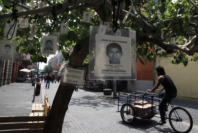 Images of 43 missing students from Guerrero state hang from a tree in Mexico City . Journalists reporting on violence in the state, and on the case of the students, face threats and violence. (AP/Marcos Ugarte)