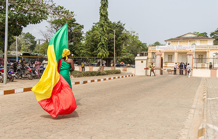 A demonstrator carries Benin's flag outside the National Assembly in Porto Novo in April 2017. Benin's media regulator threatened to shut down online publications that were distributing content without a license, according to news reports. (Yanick Folly/AFP)