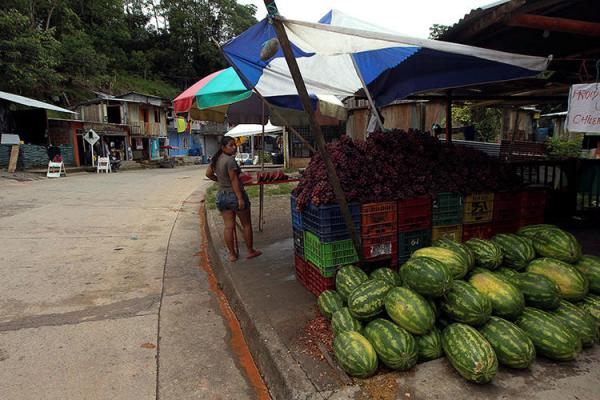 Un vendedor de frutas en Putumayo, Colombia, el 9 de octubre de 2016. Periodistas colombianos recibieron una serie de amenazas en un período de 72 que comenzó el 14 de julio. (Reuters/Guillermo Granja)