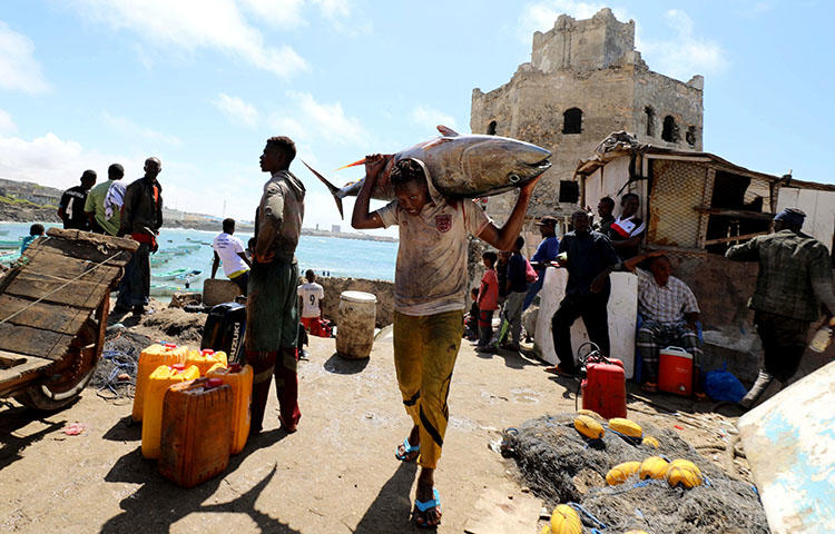 A fisherman carries his catch near a fishing port in Mogadishu on September 14. Authorities in the Somali state of Galmudug have detained a journalist on false news allegations. (Reuters/Feisal Omar)