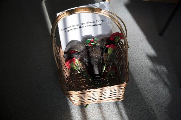A basket containing a severed animal's head and note, that was sent to Novaya Gazeta's Moscow office. The paper says authorities are conducting a smear campaign against its reporter, Denis Korotkov. (Novaya Gazeta/Anna Artemyeva)