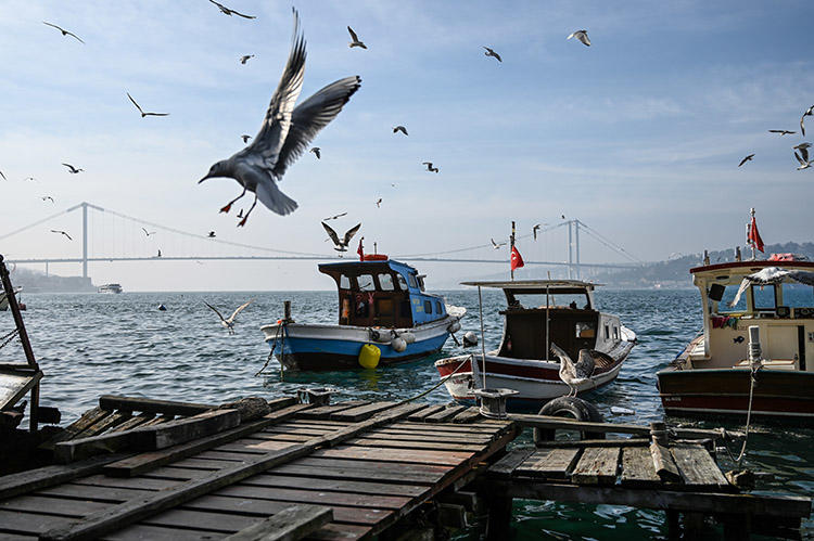 A view of the Bosphorus strait in Istanbul on January 28. Journalist Ayşe Düzkan has started serving an 18-month prison sentence in an Istanbul prison over her participation in the Özgür Gündem solidarity campaign. (AFP/Ozan Kose)