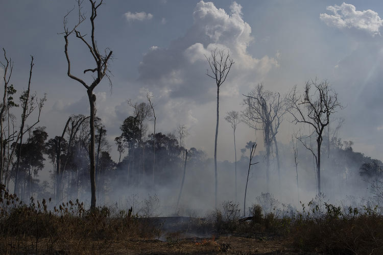 An area smolders in the Alvorada da Amazonia region in Novo Progresso, Para state, Brazil, on August 25, 2019. Brazilian journalist Adecio Piran was threatened on August 28 after reporting on fires in the region. (AP Photo/Leo Correa)