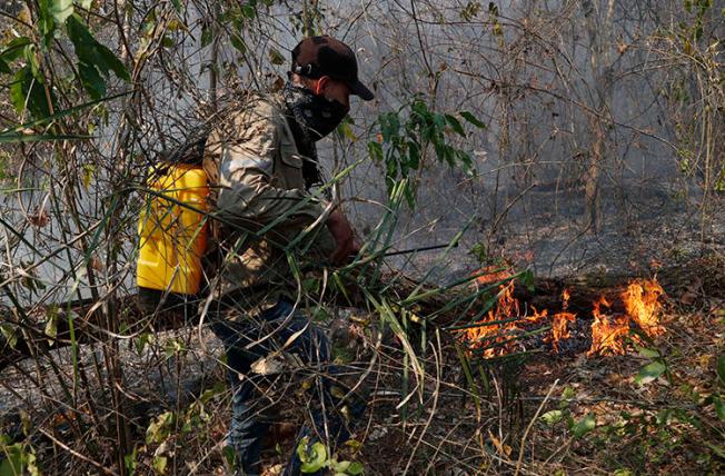 A volunteer works to put out a forest fire in Quitunuquina, on the outskirts of Robore, Bolivia, on August 24, 2019. Bolivia’s forest fires have exposed the numerous risks faced by environmental reporters. (AP Photo/Juan Karita)