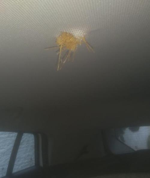 Uma perfuração do projétil no teto do carro de Márcio. (Foto: Fábio Márcio)