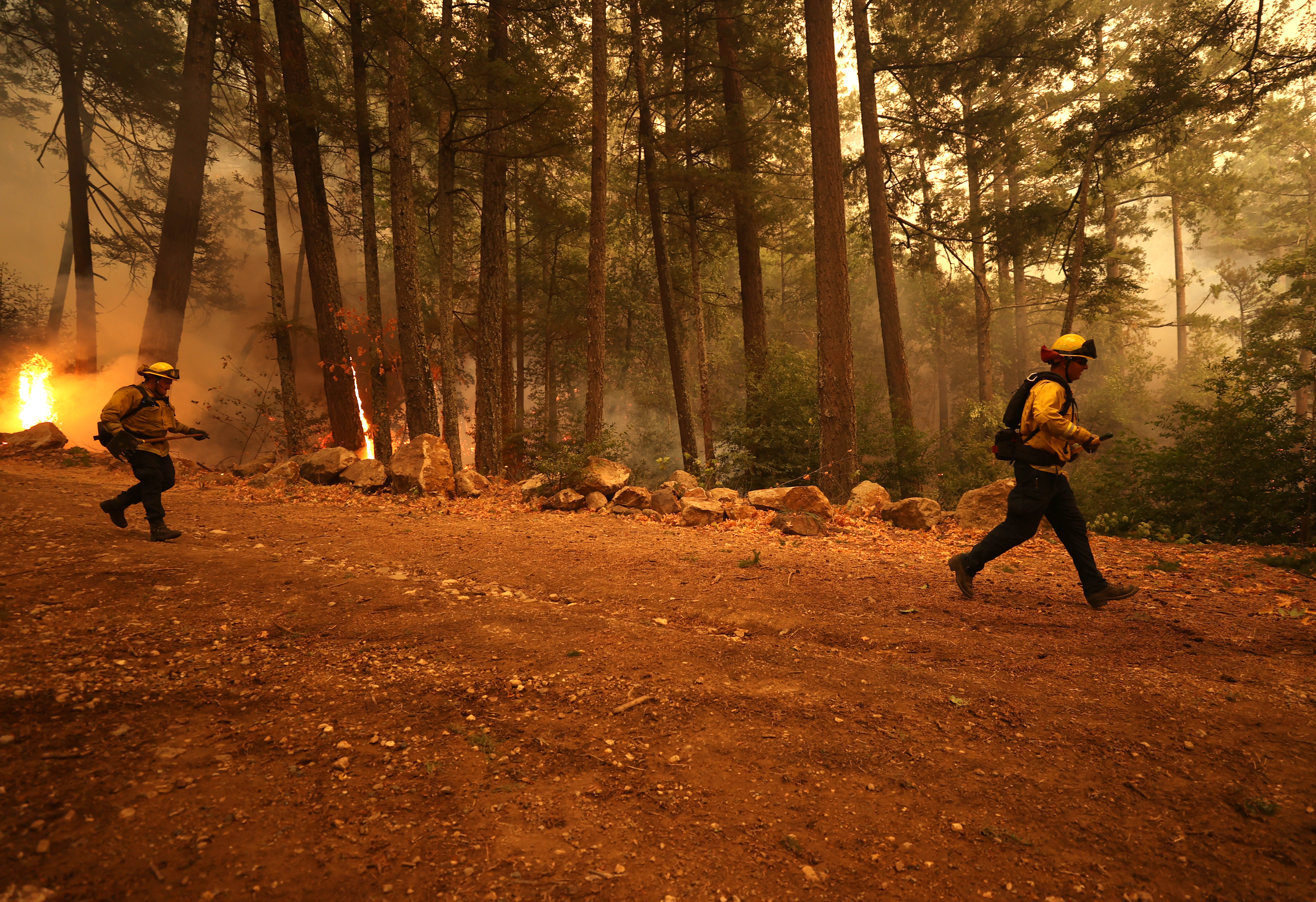 I've lost count of the number of fires I've covered this year”: How  journalists stay safe covering U.S. wildfires - Committee to Protect  Journalists