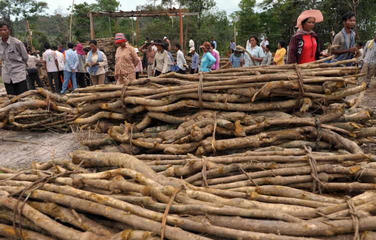 Cambodia logging