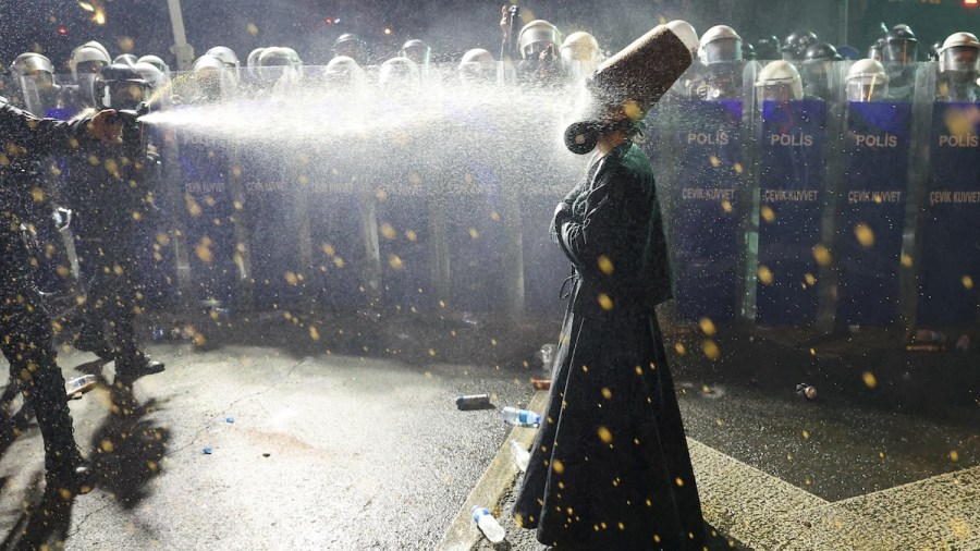 Demonstrators in Turkey