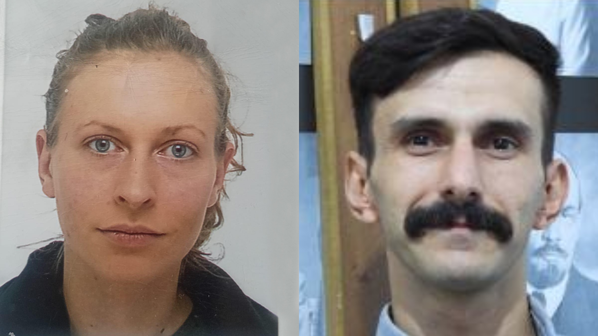 German Turkish Journalists Missing In Syria Committee To Protect german-turkish-journalists-missing-in-syria-committee-to-protect