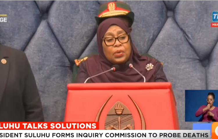 In November, President Samia Suluhu Hassan announced the formation of a commission of inquiry to investigate the hundreds or more deaths during election protests.