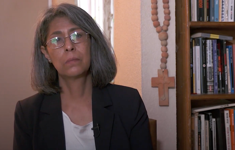 Screenshot: Maria Teresa Montaño Delgado